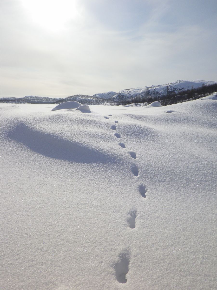 Ice Fishing56
